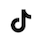 TikTok Logo Icon