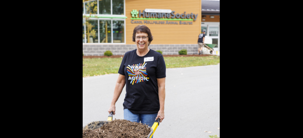 United Way 4